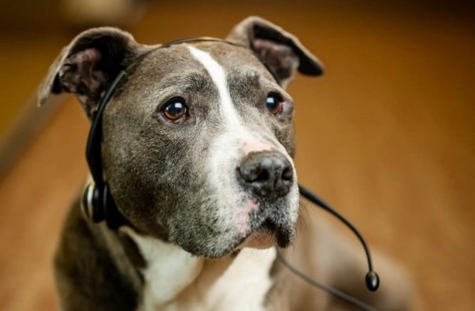 Some email difficulties