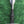 English Longsword - Oakeshott Type XVIII